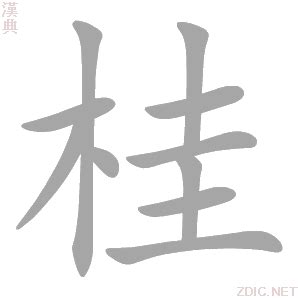 桂的造詞|桂字的意思